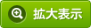 拡大表示
